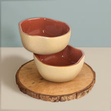Rustic Terracotta Maroon Bowl
