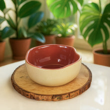 Rustic Terracotta Maroon Bowl