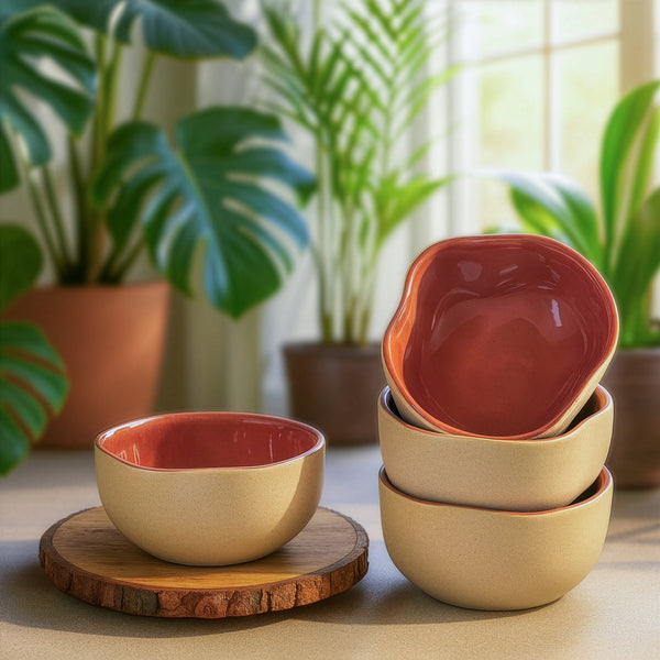 Rustic Terracotta Maroon Bowl