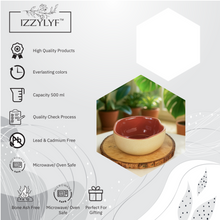 Rustic Terracotta Maroon Bowl