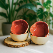 Rustic Terracotta Maroon Bowl