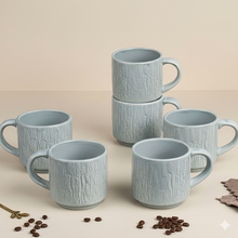 Sky Stone Classic Tea Cup Set of 6 (240ml Each)